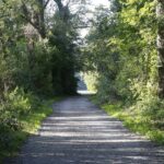 Addressing Challenges of Plastic Pollution in Auto Recycling Processes: 11xplay, Diamondexch9 com, Sky exchange sign up